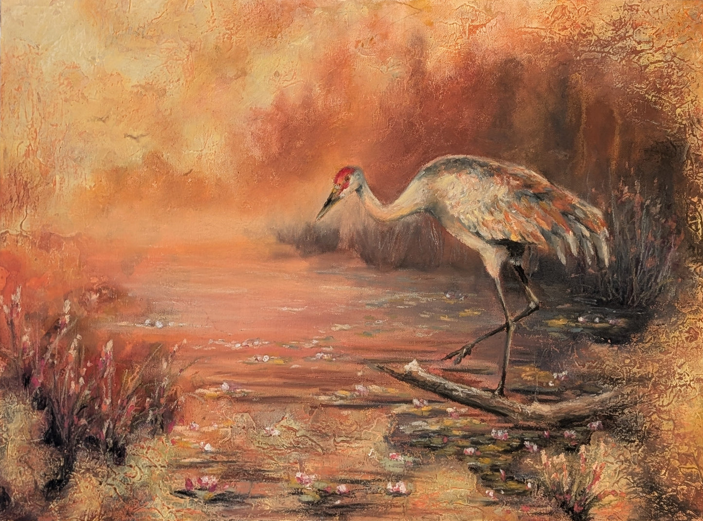 Evening Sun Original